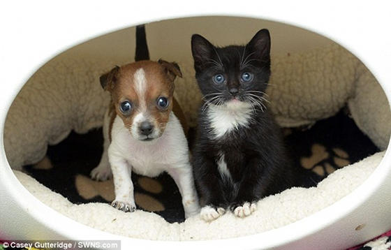 These guys weren't truly happy with their relationship.