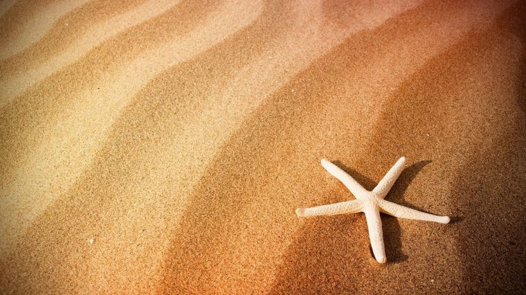 beach-sand-starfish-768x1366-1