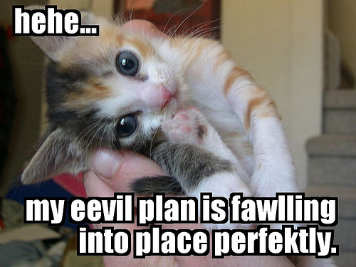 All I need now is sharks with freakin' laser beams on their heads.