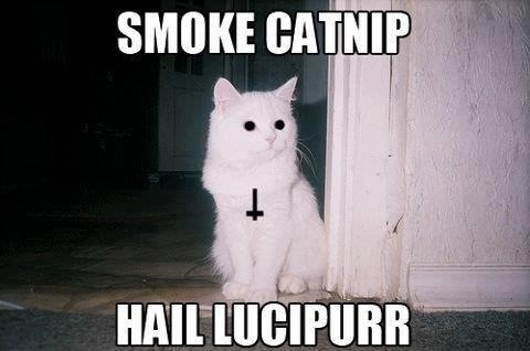 tumblr_mge8duka1g1s0lrzfo1_500